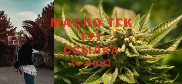 СК Алексин