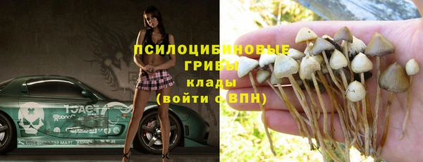 СК Алексин