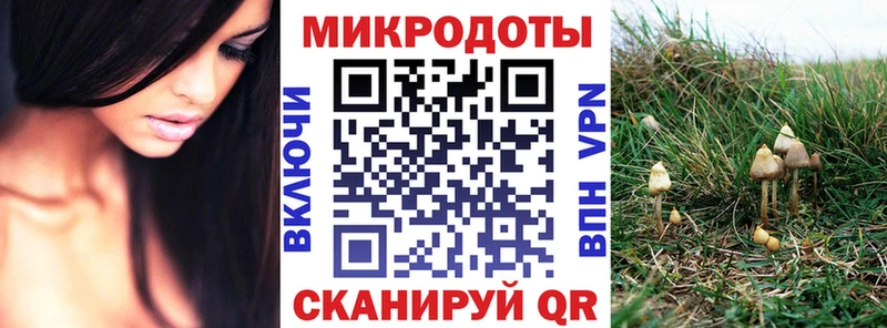 закладка  Могоча  Псилоцибиновые грибы мицелий 